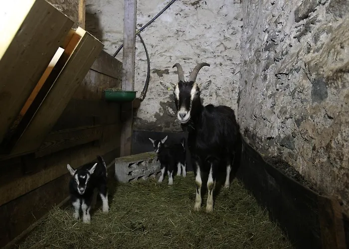 Corona Ξενοδοχείο Bregaglia